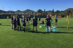 Vålerenga reiser til Gøteborg lørdag.